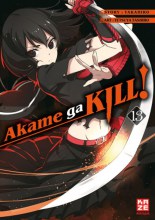 Akame ga kill 13